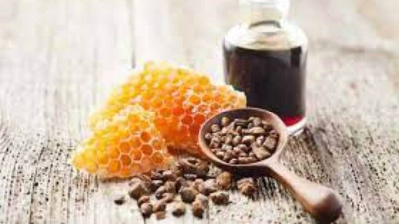 Arıların ürettiği propolis nedir? Propolisin faydaları nelerdir?